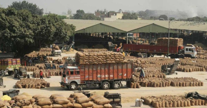 ভারত থেকে ৫০ হাজার টন চাল আমদানির সিদ্ধান্ত সরকারের