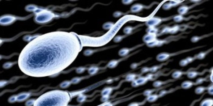 প্রাকৃতিকভাবে শুক্রাণুর স্বাস্থ্য ভালো রাখার ৭টি সহজ উপায়