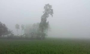 দেশের ৭ জেলায় বইছে মৃদু শৈত্যপ্রবাহ