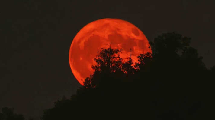 বুধবার পূর্ণগ্রাস চন্দ্রগ্রহণ, বাংলাদেশসহ বিশ্বজুড়ে দৃশ্যমান থাকবে