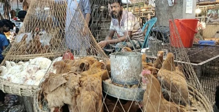 সাধারণ মানুষের নাগালের বাইরে গরুর মাংস-মুরগির দাম