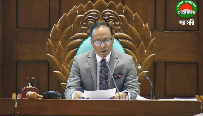 সংসদ জনগণের, ব্যক্তিগত সম্পত্তি নয়: ডেপুটি স্পিকার