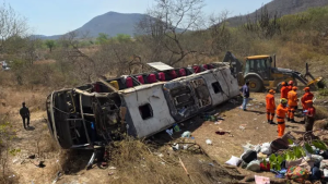 ব্রাজিলে ভয়াবহ বাস দুর্ঘটনায় শিশুসহ ১৬ জনের প্রাণহানি