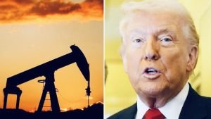 ট্রাম্পের যুদ্ধ শেষ হওয়ার ইঙ্গিতের পর বিশ্ববাজারে তেলের দাম কমল প্রায় ৯ শতাংশ