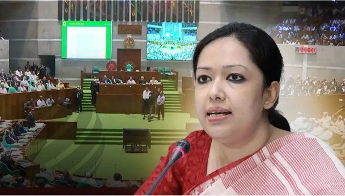 ১০০ দিনে ৬০৫ হত্যাকাণ্ড, সংসদে রুমিন ফারহানার উদ্বেগ